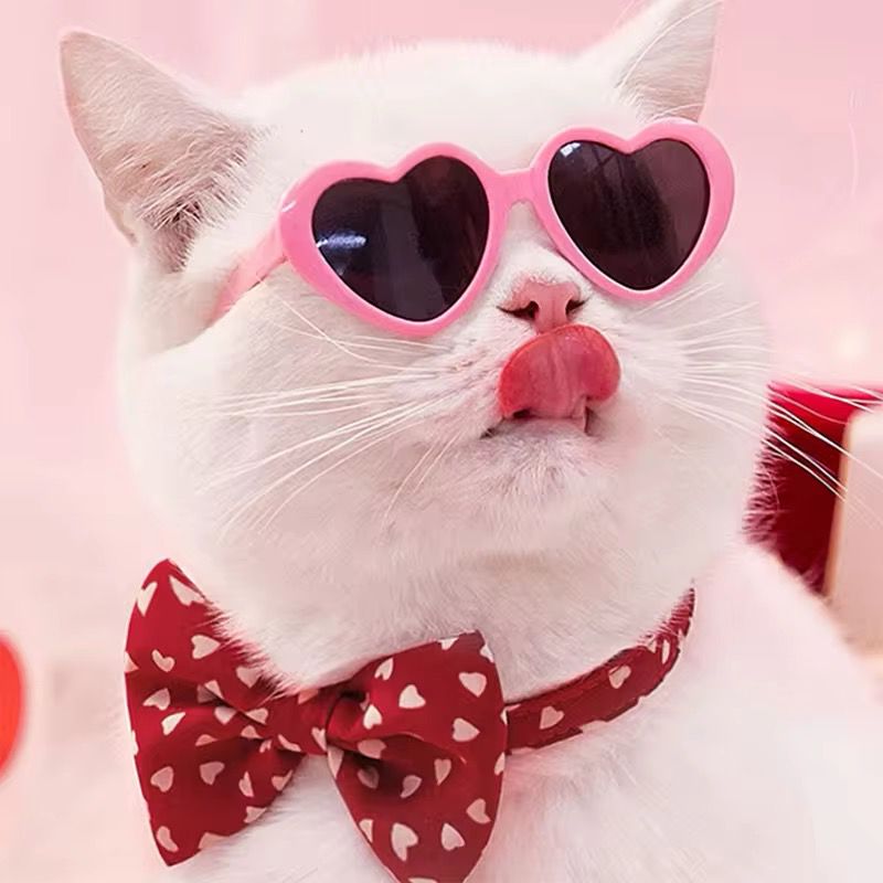Lentes Gato corazon
