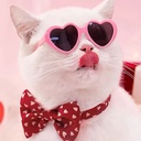 Lentes Gato corazon