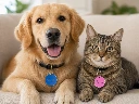 ChatGPT Image Jun 7, 2026, 08_48_12 PM.webp