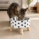 AI Generated Plato para gato de acero con base 4 patas - en uso