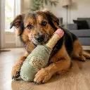 AI Generated Juguete Peluche Botella Espumante - Foto lifestyle con perro