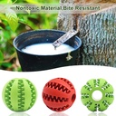 Juguete pelota dental GRANDE 