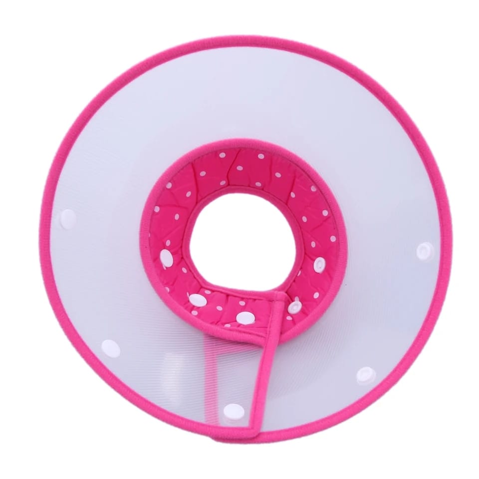 Collar isabelino boton L