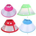 Collar isabelino boton L