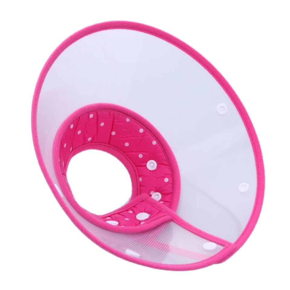 Collar isabelino boton L