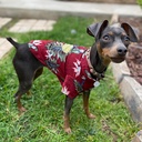 Ropa camisa hojas