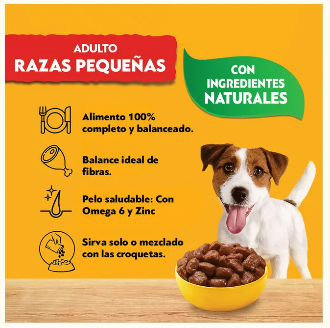 Sin título 2.webp