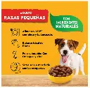 Sin título 2.webp