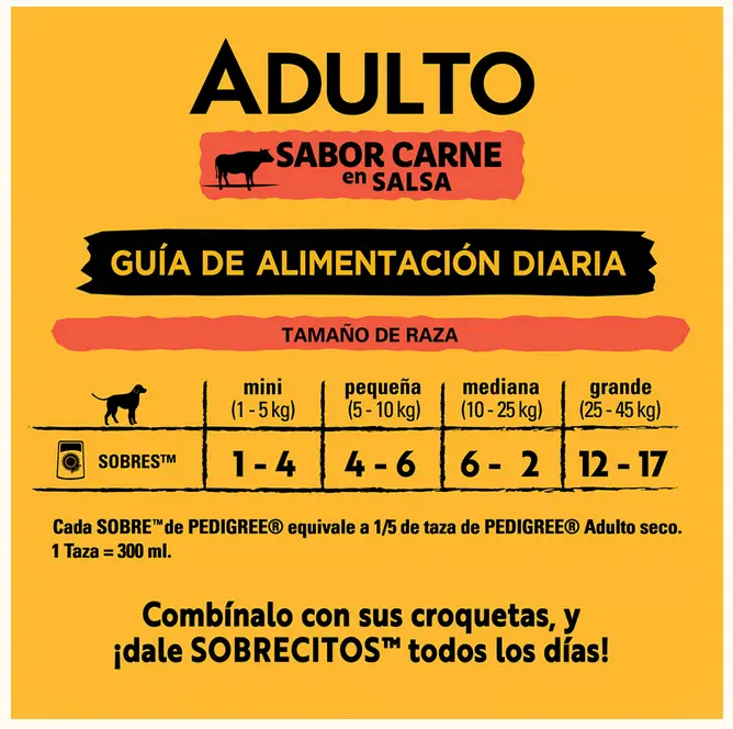 Sin título 12.webp