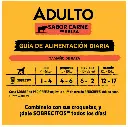 Sin título 12.webp