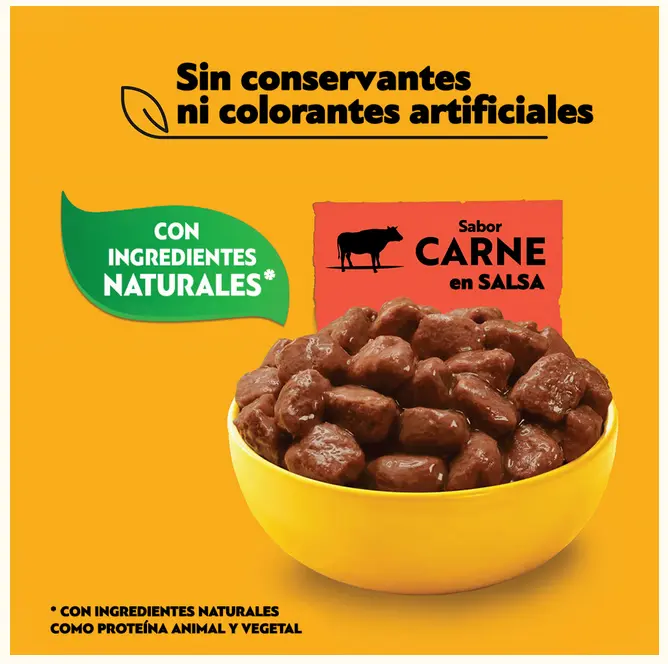 Sin título 9.webp