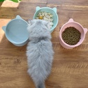 Plato plastico gato alto 