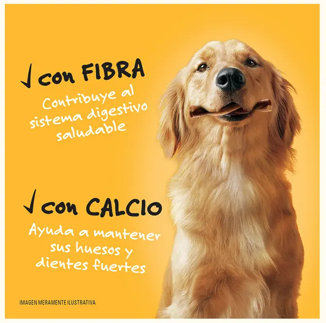 Sin título 16.webp