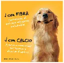 Sin título 16.webp