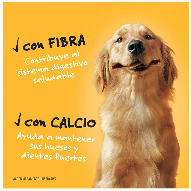 Sin título 22.webp
