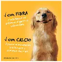Sin título 22.webp