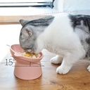 Plato plastico gato alto 