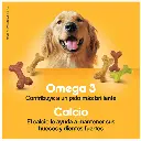 Sin título 30.webp