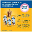 Sin título 33.webp