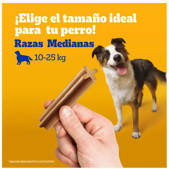 Sin título 4.webp