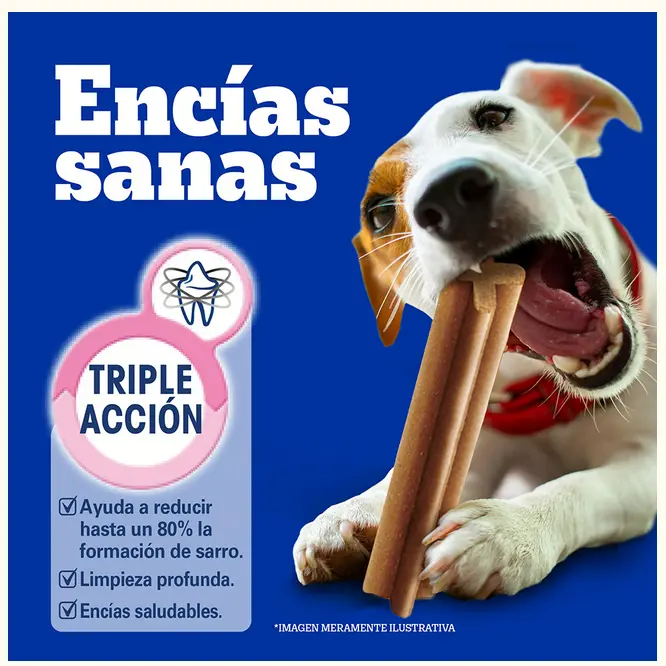 Sin título 2.webp