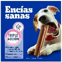 Sin título 2.webp