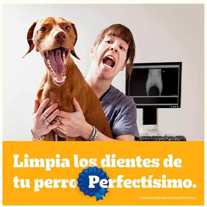 Sin título 3.webp