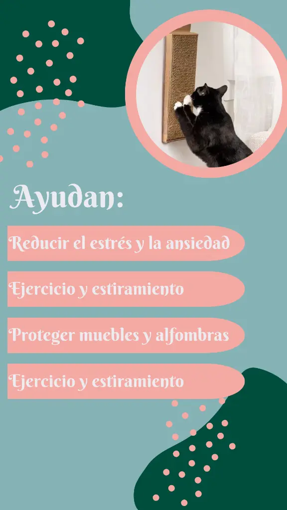 rascador.webp