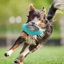img_2_Juguetes-para-perros-interactivo-para-mascotas-Bola-de-comida-dispensador-de-alimentos-para-perros-IQ-Treat.jpg_.webp_.webp
