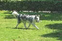 M-PETS_COTO_Eco-rope-dog-toys_10646801_White-Loop-Ball_8-cm_Lifestyle_Outdoor_with-dog_HOR_CMYK_03-2048x1365.webp