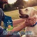 D_NQ_NP_2X_813665-MLU84179391418_052025-F.webp