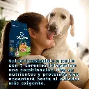 D_NQ_NP_2X_716674-MLU84179391408_052025-F.webp
