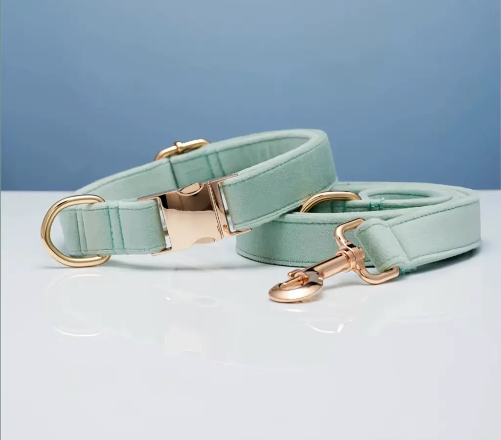 correa y collar.webp