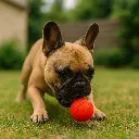 ChatGPT Image Sep 22, 2025, 06_12_02 PM.webp