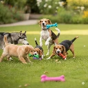 Juguete CATHRO hueso GIGANTE