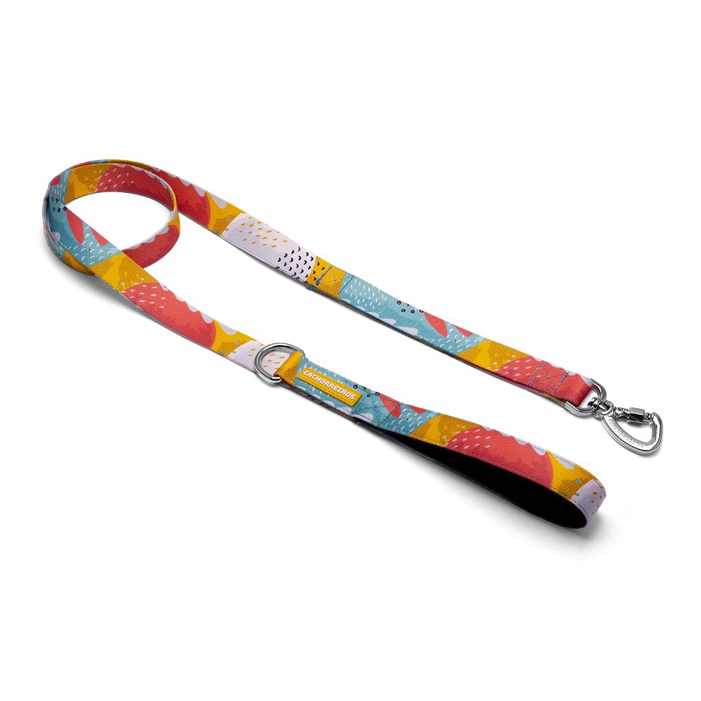 Correa Tradicional Cachorreiros