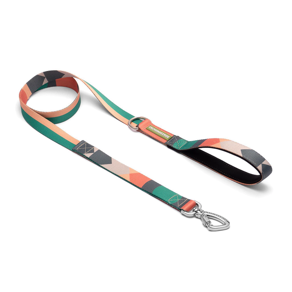 Correa Tradicional Cachorreiros