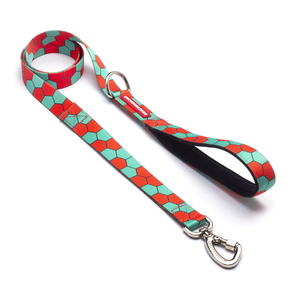 Correa Tradicional Cachorreiros