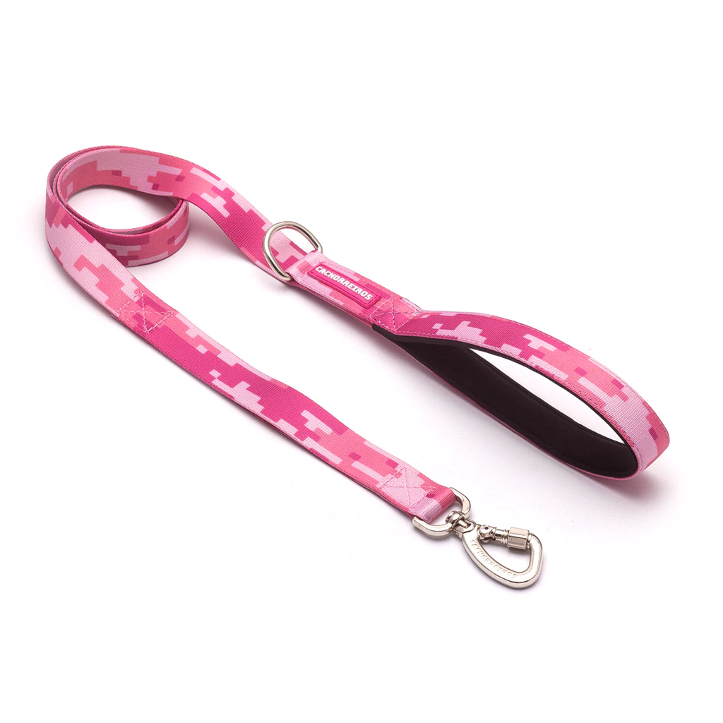 Correa Tradicional Cachorreiros