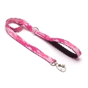 Correa Tradicional Cachorreiros