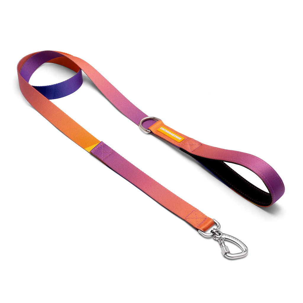 Correa Tradicional Cachorreiros