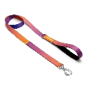 Correa Tradicional Cachorreiros