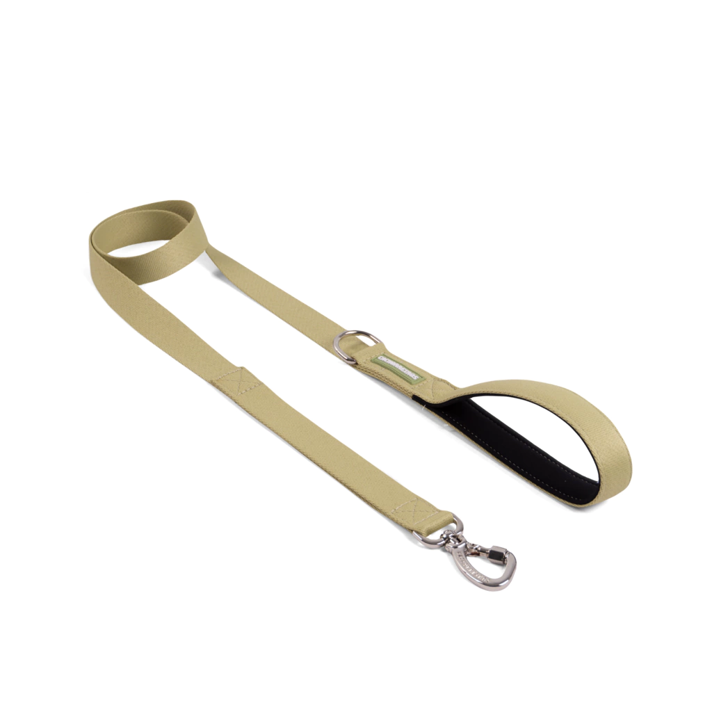 Correa Tradicional Cachorreiros