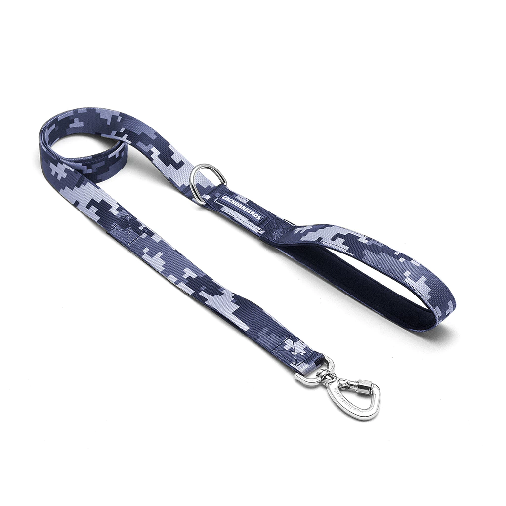 Correa Tradicional Cachorreiros