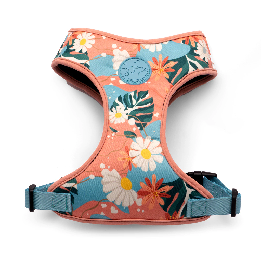 [FLOWFLOP] Pechera Arnes Flow para Perros (Floral, S)