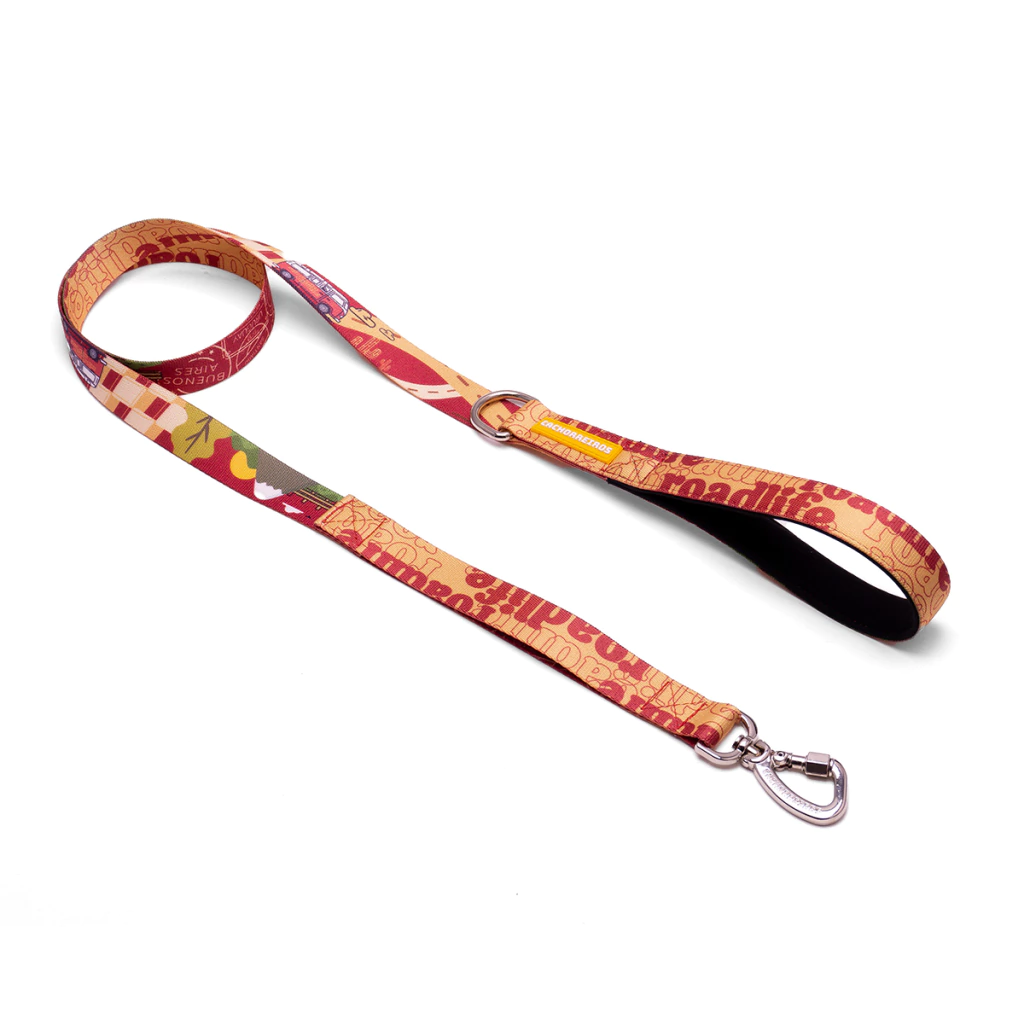 Correa Tradicional Cachorreiros