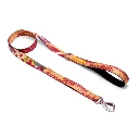 Correa Tradicional Cachorreiros