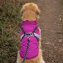 Campera Impermeable para Perros con Interior Polar