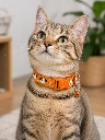 Collar para Gatos  y Cachorros con Cascabel – Ajustable
