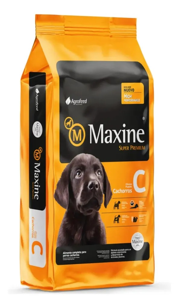 Maxine Cachorro